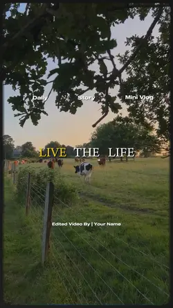 live the life
