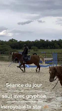 Séance du jour 🫶🏼🫶🏼