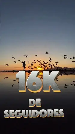 16k de seguidores 
