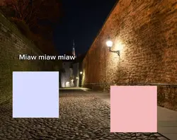 miaou 