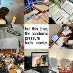 academic pressure