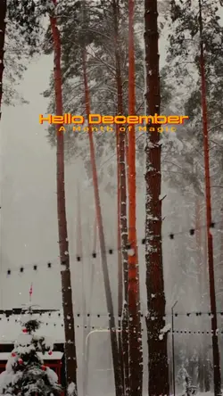 hello desember