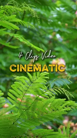 Cinematic 4 Video