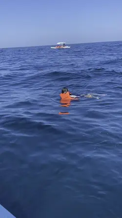 Nada con Delfines 🫶🏼