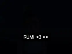 Rumi deserved better