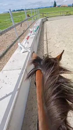 you better not crash