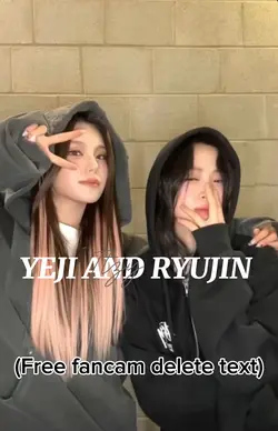 Free fancam