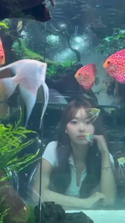 널 갖고놀래 