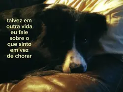 sadness