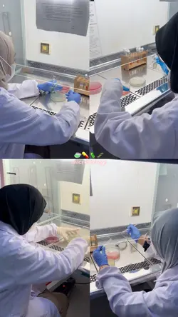 vlog praktikum vibe