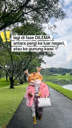 Fase dilema