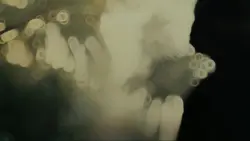 আচ্ছা সব হারিয়ে