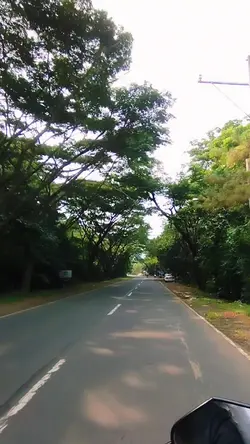 Bundok