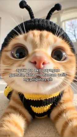 ayaw pa ako payagan