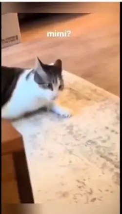 MIMI
