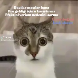 Karıştırma efekti
