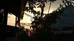 Cinematic 