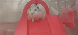 입 모양