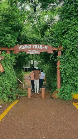Hiking trail 5 top