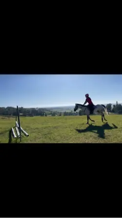 I LOVE SCOOTER