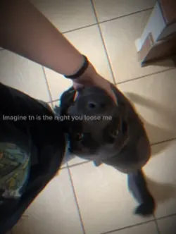 Imagine 