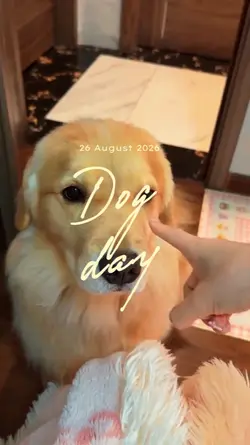 dog day aesthetic