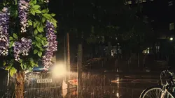 Cozy rain