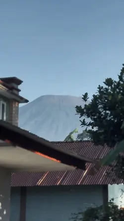 MASIH MENUNGGU