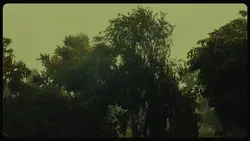 cinematic film