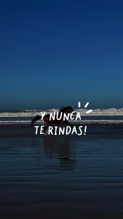 Nunca te rindas!