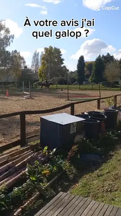Quel galop ?