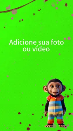 Macaquinho.