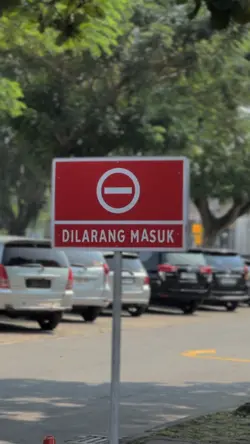 CINEMATIC CALON