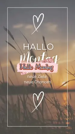 Hello Monday 
