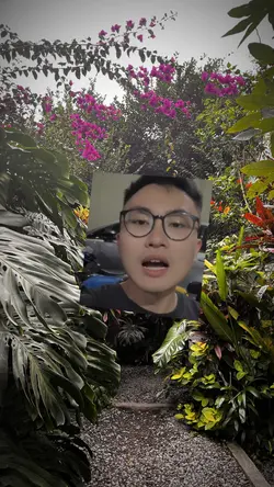 Jj koko bud yapping