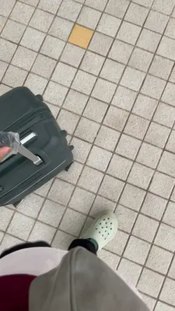 Vlog