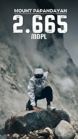 mount trend 2025