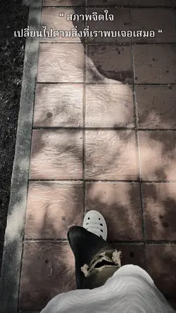 เธรดดด