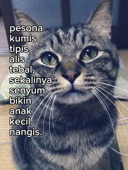 kata-kata