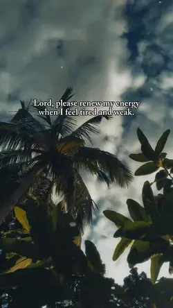 Lord, please...