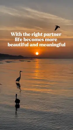 Right Partner 