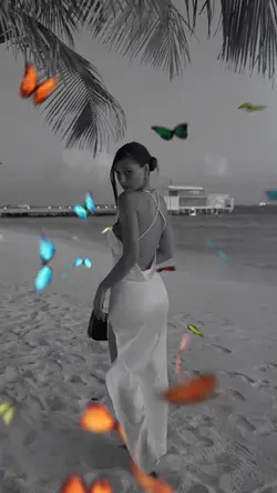 slowmo butterfly 