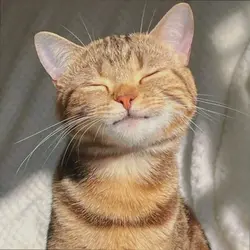 cats edit simple