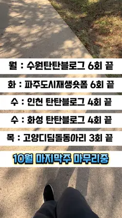 텍스트애니메이션