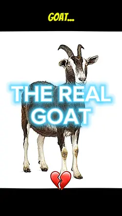 Real Goat