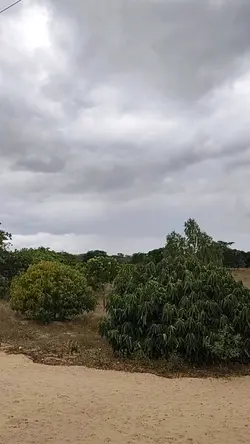 mensagem de hoje