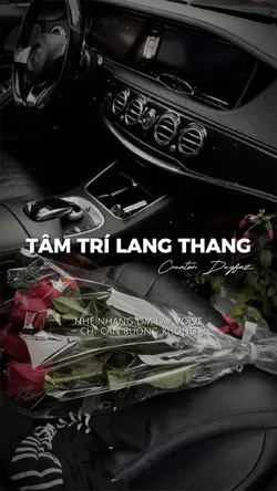TÂM TRÍ LANG THANG📍
