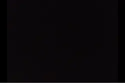 Best Player 