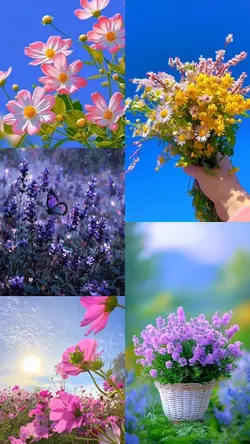 Aesthetic Spring