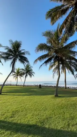 vlog tabola tabale